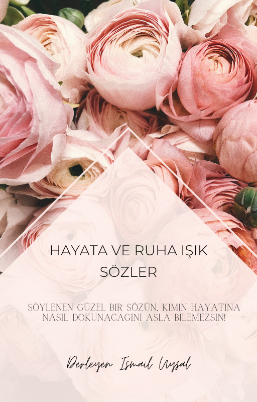 HAYATA VE RUHA IŞIK SÖZLER - Kitap Kapağı